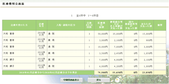 医療費情報画面(見本)